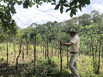 Alejandría & Acapulco
