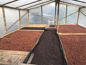 La Bretaña, La Pola and La Rochella