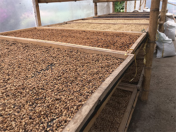 La Bretaña, La Pola and La Rochella