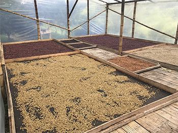 La Bretaña, La Pola and La Rochella