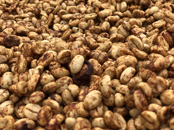 Red Bourbon Peaberry