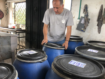 Red Bourbon Peaberry